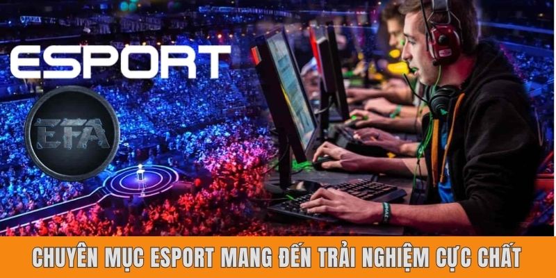 Chuyên mục Esport mang đến trải nghiệm cực chất