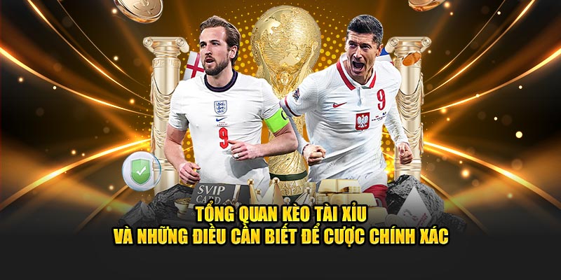 Tổng quan Kèo Tài Xỉu và những điều cần biết để cược chính xác